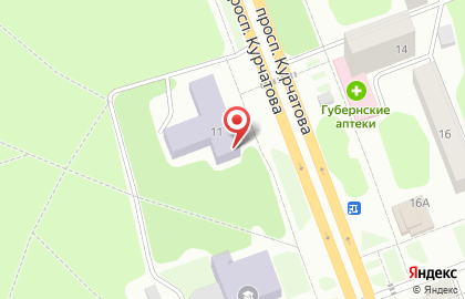 Детская библиотека им. Гайдара на проспекте Курчатова на карте