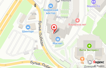 Алиса на улице Антонова-Овсеенко на карте