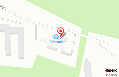 Приют для животных Я живой на карте
