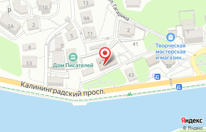 Патентное бюро Biznes.ru в Светлогорске на карте