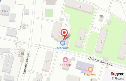 VetCa на Центральной улице на карте