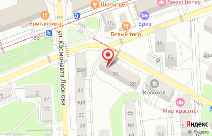 Зоомагазин Балу в Центральном районе на карте