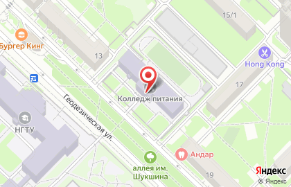 Новосибирский технологический техникум питания на карте