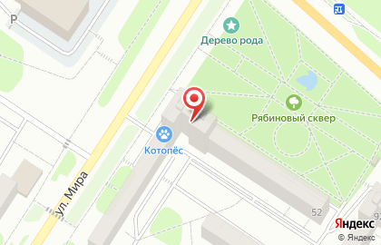Ювелирный салон на улице Мира на карте