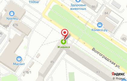 Аптека Живика на Волгоградской улице на карте