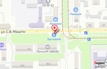 Цветочный магазин Эдельвейс в Ростове-на-Дону на карте
