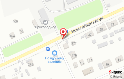 Степашка на Новосибирской улице на карте