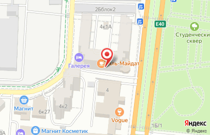 Продуктовый магазин Александрия на улице Савушкина на карте