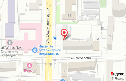 Агентство недвижимости Базис в Центральном районе на карте