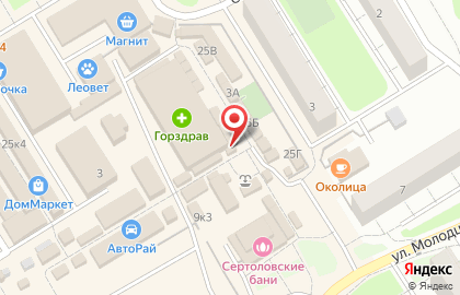 Салон продаж и обслуживания Теле2 в Сертолово на карте