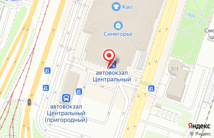 ТЦ Синегорье в Советском районе на карте