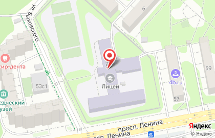 Балашихинский лицей на проспекте Ленина на карте