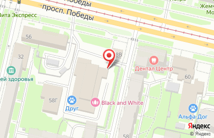 Магазин Красное & Белое в Вологде на карте