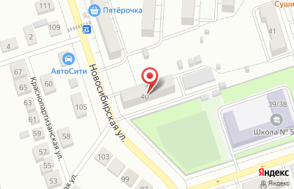 Магазин разливных напитков Пена на Новосибирской улице на карте