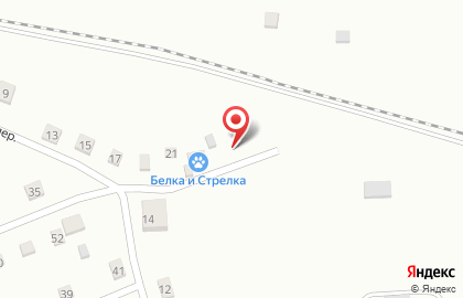 Ветеринарная клиника Белка и Стрелка в Хабаровске на карте