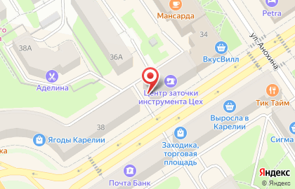 Зоомагазин Верные друзья на проспекте Ленина на карте