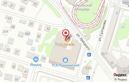 Агентство по подбору домашнего персонала Няни.net на улице Пушкина на карте