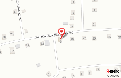 Продовольственный магазин на ул. Александра Невского, 31 на карте