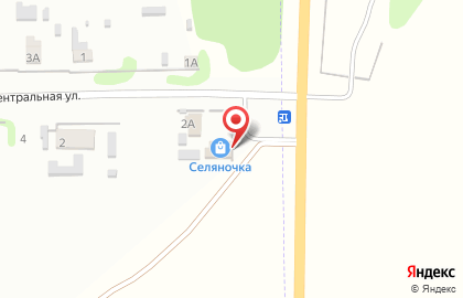 Магазин Селяночка на Центральной улице на карте
