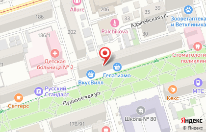 Салон оптики Фокус на Пушкинской улице на карте