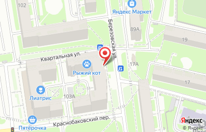 Частное охранное предприятие Антарес на Берёзовской улице на карте