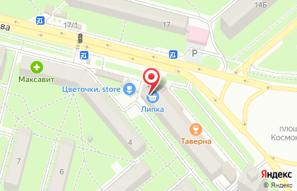 Липка на улице Вермишева на карте