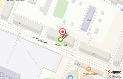 Аптека Живика на улице Каляева, 30 на карте
