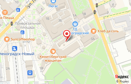 Магазин Лэар на улице Тургенева на карте