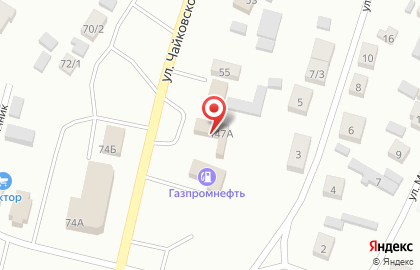 Скорпион на улице Чайковского на карте
