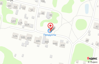 Продуктовый магазин в Нижнем Новгороде на карте