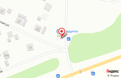 Продуктовый магазин в Ижевске на карте