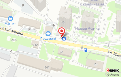 Магазин зоотоваров ЗооМаг на улице Ижорского Батальона на карте