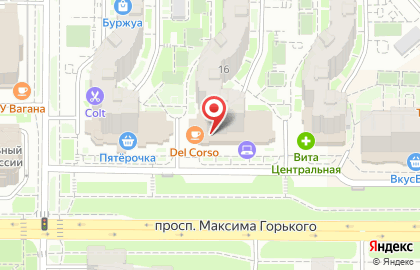 Магазин канцелярских товаров Канцлер на проспекте Максима Горького на карте