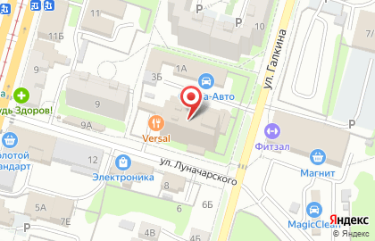 Elfsight на карте