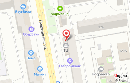 Студия красоты DPSP STUDIO на Пушкинской улице на карте