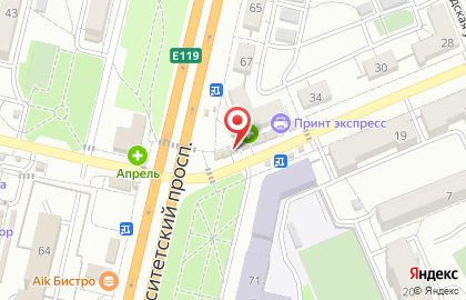 Любимые цветы на Университетском проспекте на карте