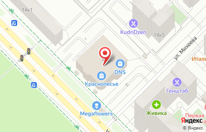 Ms-Studio на карте