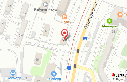 Амур на Воронежской улице на карте