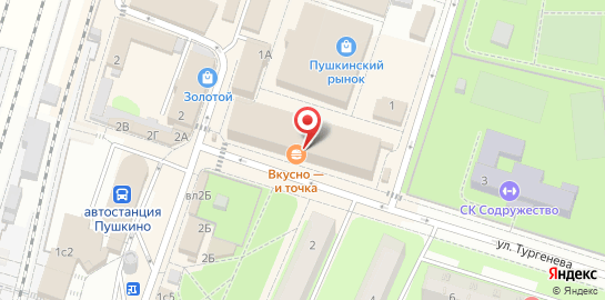 Сервисный центр Починим в Пушкино на карте