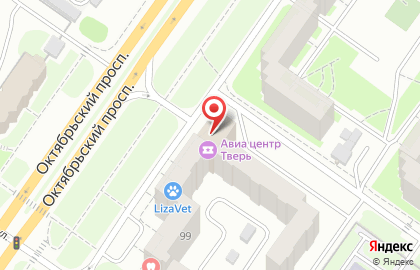 Центр развития интеллекта Пифагорка на Октябрьском проспекте на карте