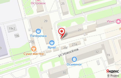 Химчистка и прачечных Сервис-Леда на улице Новосёлов на карте