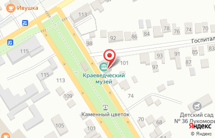 Историко-краеведческий музей на улице Лермонтова на карте