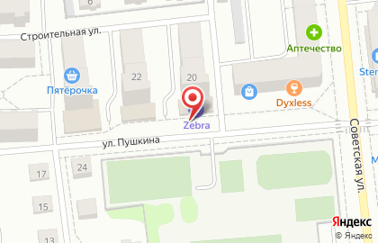 ZEBRA cafe на улице Пушкина на карте