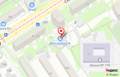 Ветеринарная клиника А на карте