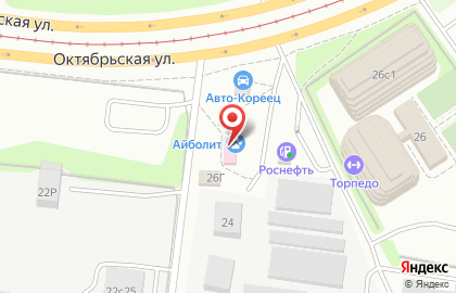 Ветеринарная клиника Айболит на Октябрьской улице на карте