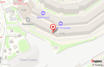 Зоосалон Цаца в Заельцовском районе на карте