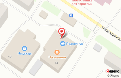 Система аптек Эдельвейс на Надеждинской улице на карте