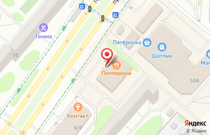 Магазин ZOOмаркет на проспекте Мира, 59в в Нижнекамске на карте