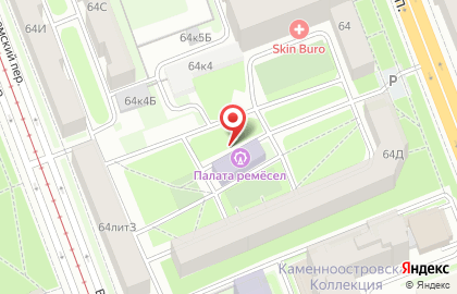 Подростково-молодежный клуб Спутник на Каменноостровском проспекте на карте