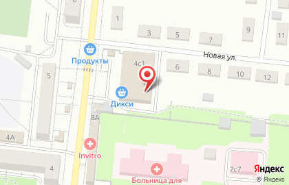 Олеся на Новой улице на карте